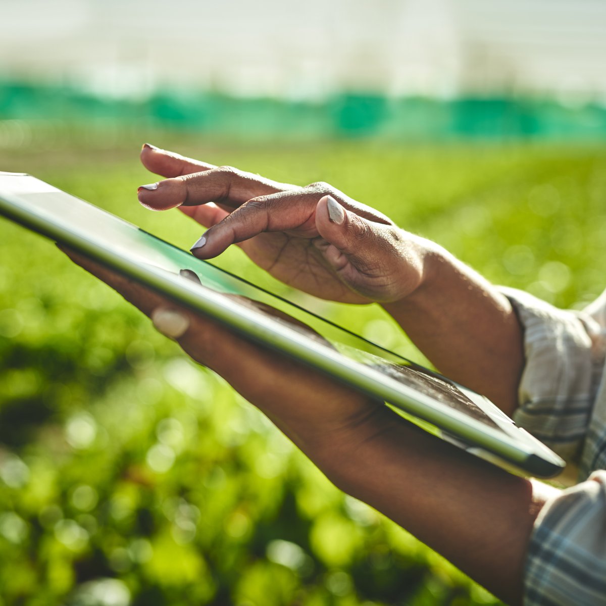 Just Transition to a Green and Digital Future for All