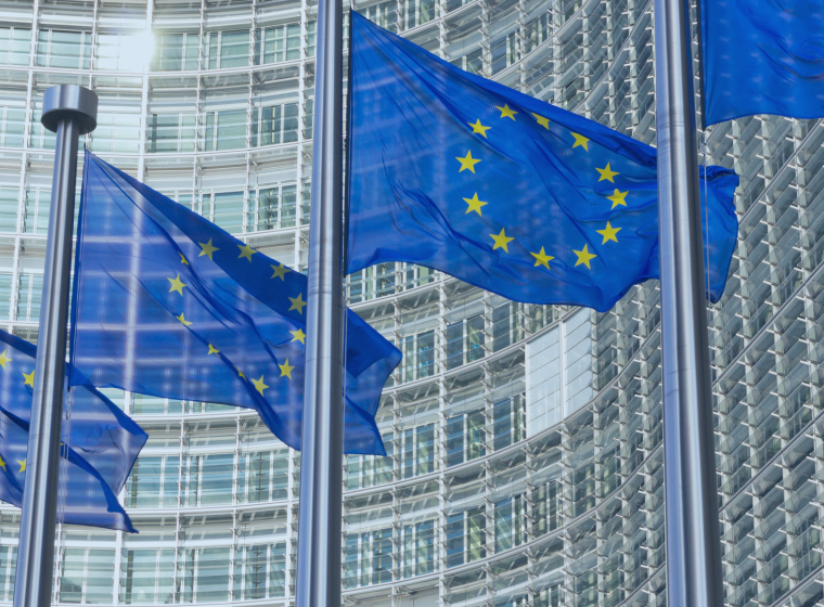 Digital Literacy: A Key Skill for Europe's Digital Future