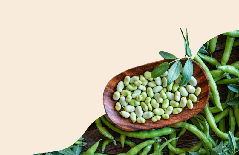 HealthFerm