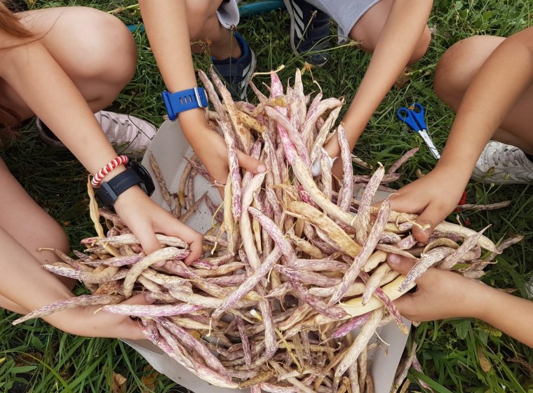 Citizen Participation and Shared Responsibility for Biodiversity 