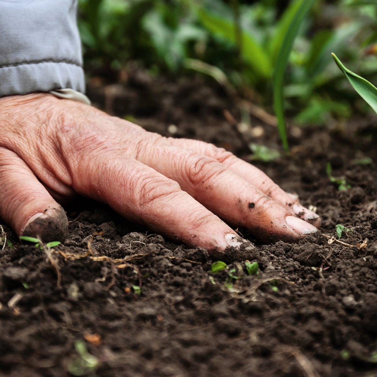 Making Soil Biodiversity Visible to Society Making Soil Biodiversity Visible to Society