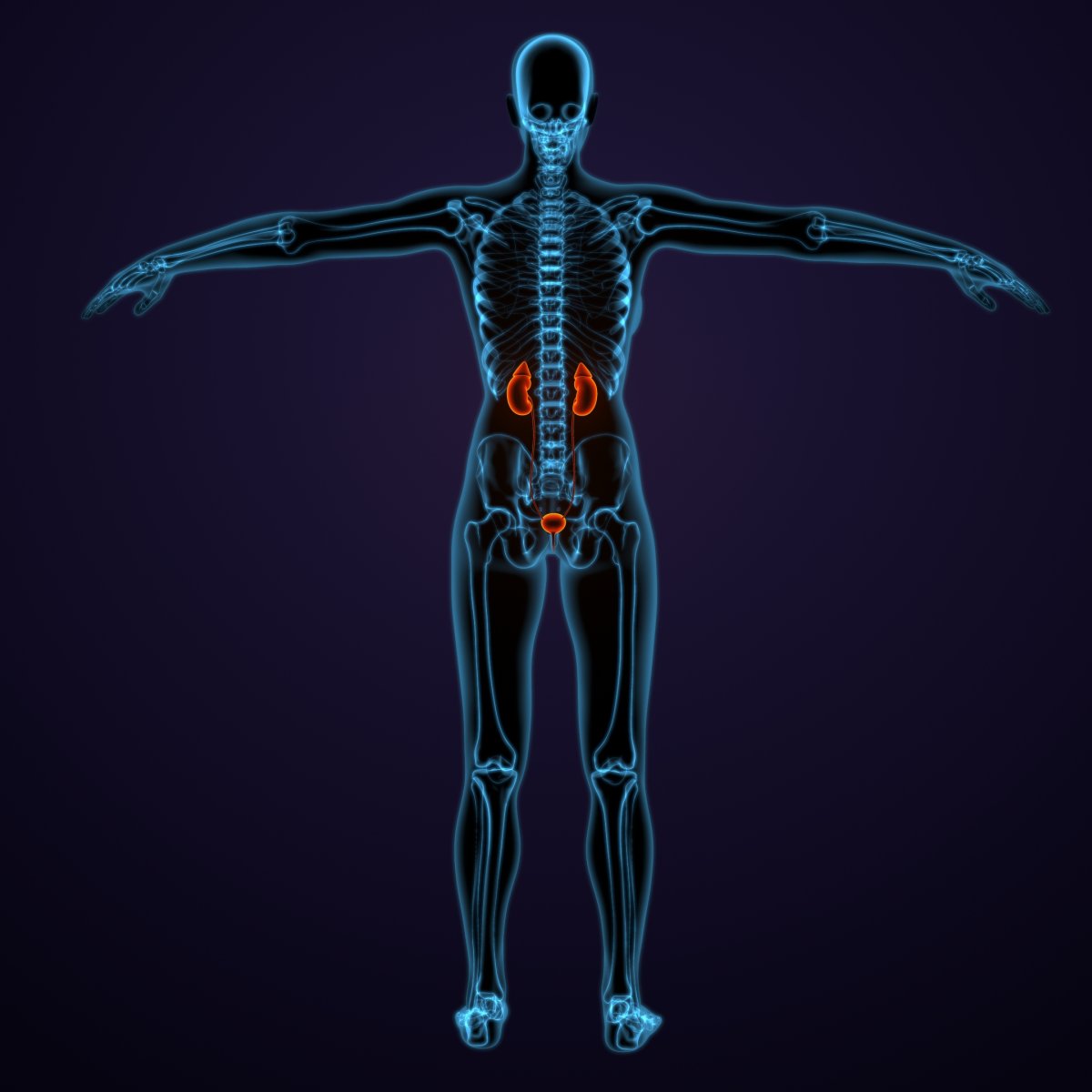 Improving Urologic Cancer Care with Artificial Intelligence Solutions