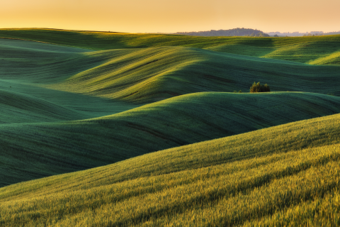 Shaping Europe’s Sustainable Bioeconomy
