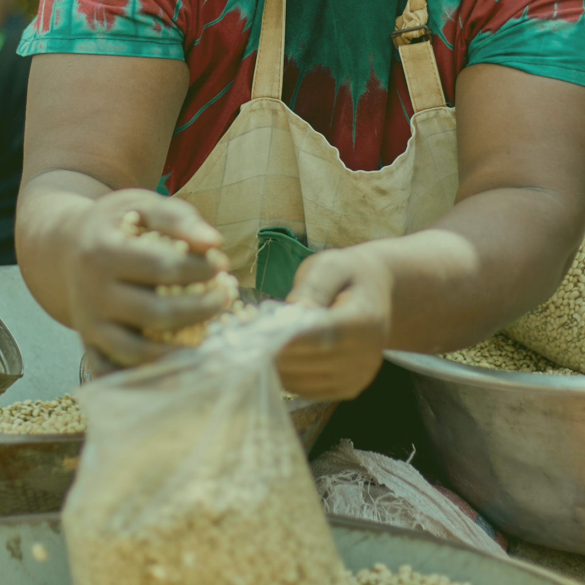 Designing Sustainable, Locally Sourced Supplementary and Therapeutic Foods for Emergency Nutrition 