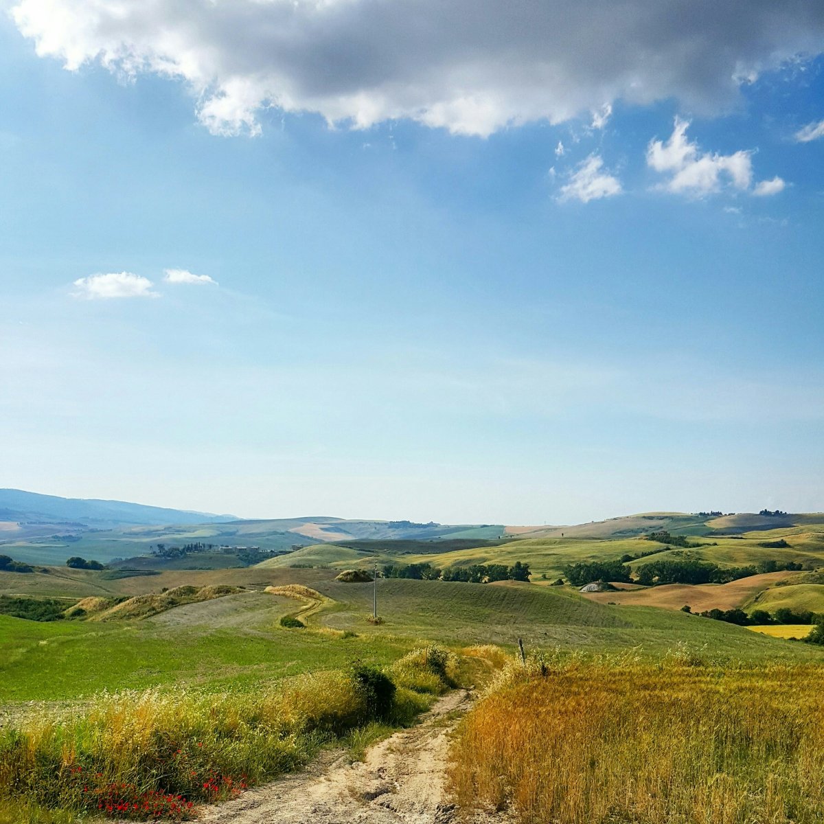 Empowering Rural Communities to Act for Change