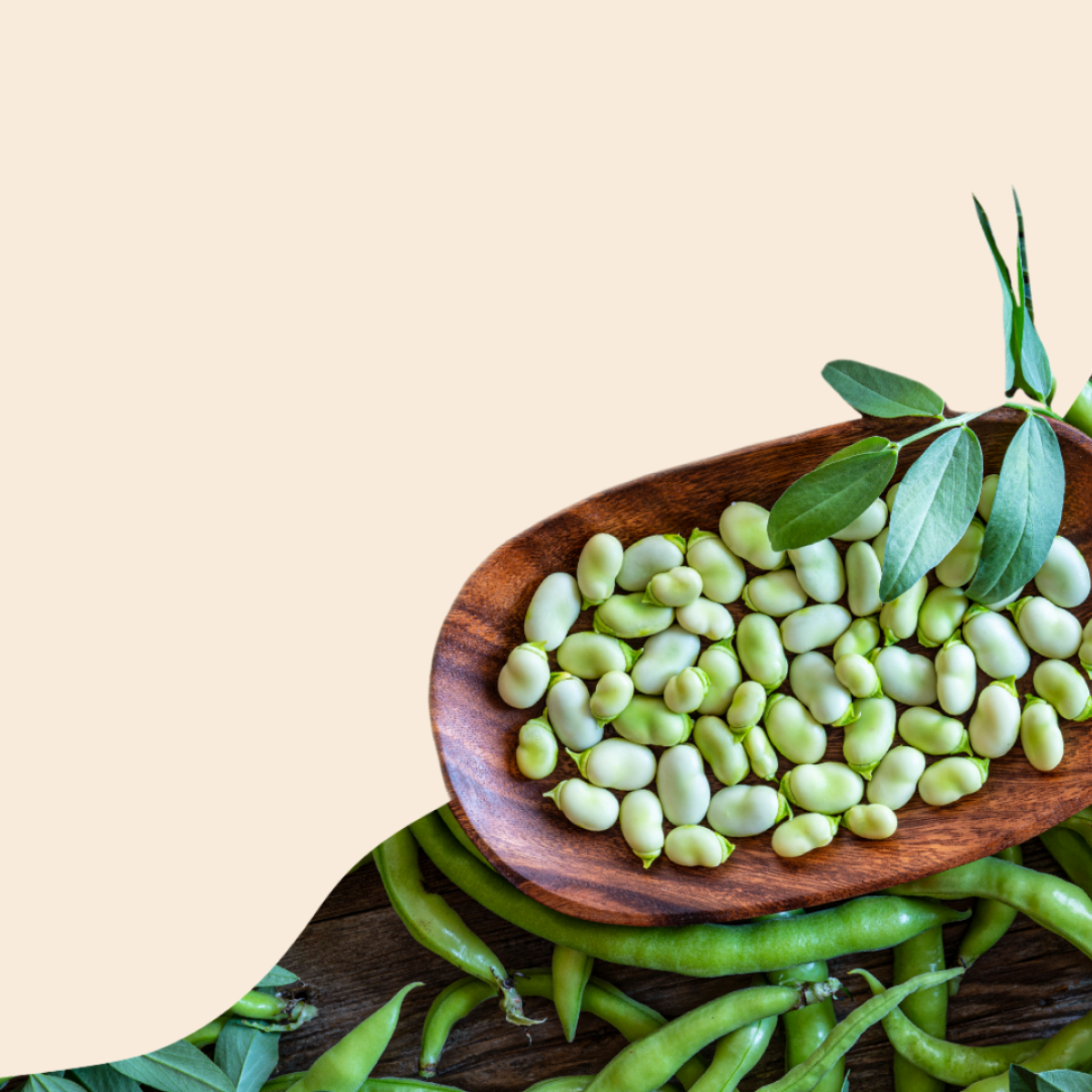 Plant-Based Fermented Foods for Healthier and More Sustainable Diets Plant-Based Fermented Foods for Healthier and More Sustainable Diets