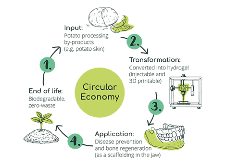 Healing bones, rethinking waste
